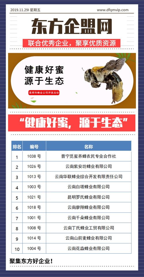 健康好蜜，源于生態(tài)——昆明市蜂業(yè)公司評選活動(dòng)信息技術(shù)咨詢服務(wù)方案